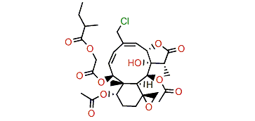 Fragilolide O